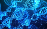 ASCO2020 摘要上线