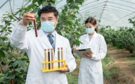 【重大利好】谈判药品不占药占比，不纳入DRG、DIP及医院各种考核！